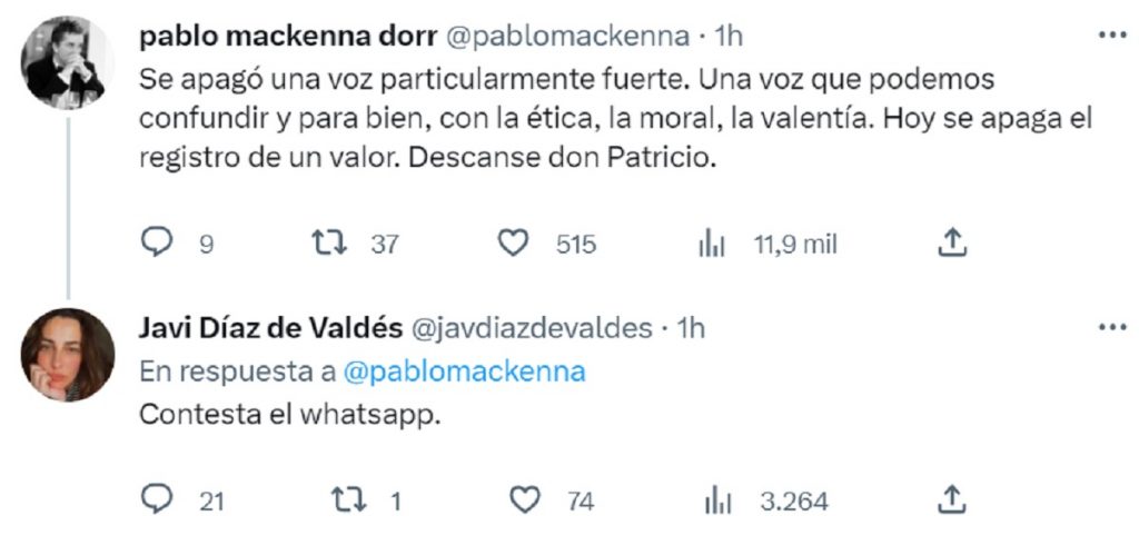 Javiera Díaz de Valdés emplazó a Pablo Mackenna con enigmático comentario en redes sociales