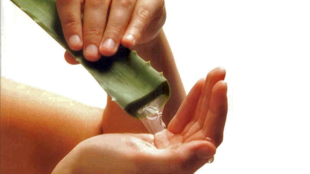 Cuidado de la piel: los infinitos beneficios del aloe vera